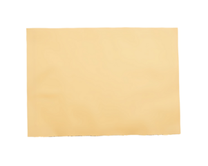 Rough Brown Paperboard Fragment PNG with Transparency