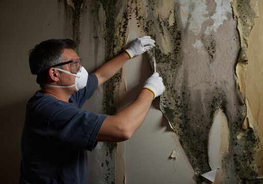 Remediation specialist carefully removing moldy wallpaper, highlighting importance of safety and professional mold removal