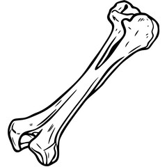 Bone