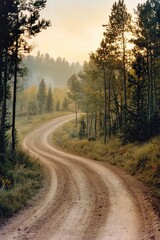 Fototapeta premium Forest Dirt Road