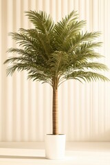 Obraz premium Lush palm tree stands elegantly in modern pot against textured b