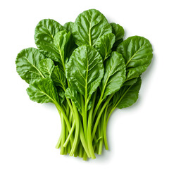 Fresh green spinach leaves isolated on white background