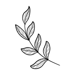 Elegant silhouettes of leaves, grass, branches create stunning visual effects for art projects.