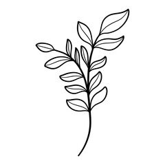 Elegant silhouettes of leaves, grass, branches create stunning visual effects for art projects.