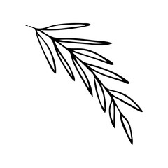 Elegant silhouettes of leaves, grass, branches create stunning visual effects for art projects.