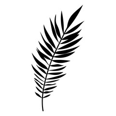 Obraz premium Elegant silhouettes of leaves, grass, branches create stunning visual effects for art projects.