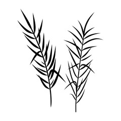 Elegant silhouettes of leaves, grass, branches create stunning visual effects for art projects.