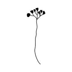 Elegant silhouettes of leaves, grass, branches create stunning visual effects for art projects.