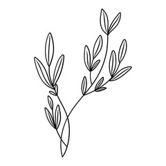 Elegant silhouettes of leaves, grass, branches create stunning visual effects for art projects.