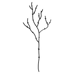 Elegant silhouettes of leaves, grass, branches create stunning visual effects for art projects.