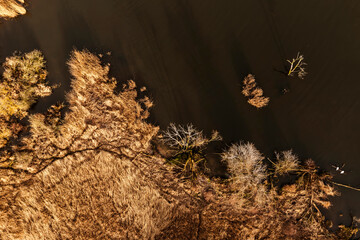 Autumn river landscape from a drone. Autumn plants by the river landscape.