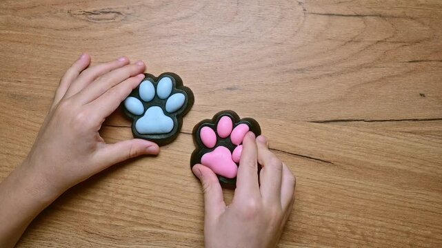 Taba paws blue and pink colorful toys anti stress squish on hand child.