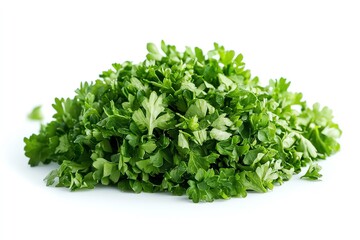 Fresh Parsley Pile on White Background for Cooking and Garnish