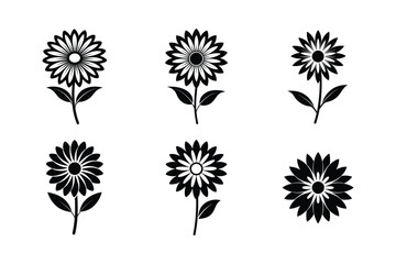 Marguerite Daisy (Argyranthemum frutescens) silhouette vector illustration