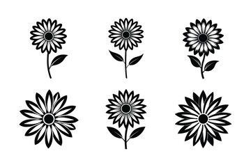 Marguerite Daisy (Argyranthemum frutescens) silhouette vector illustration