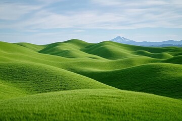 Obraz premium High angle view of rolling landscape, Steptoe Butte State Park, Washington State, USA