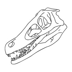 dinosaur skull outline vector design