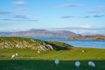 View over the north of the isle of Iona. Iona is a small island of the Inner Hebrides in the west of Scotland.	
