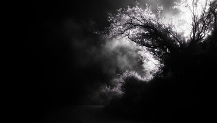 Naklejka premium This striking black and white image captures a dark landscape, where a single illuminated tree stands majestically, surrounded by ethereal mist and shadows.