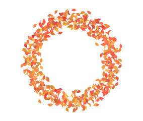 秋の葉っぱの丸いフレーム　落ち葉　紅葉