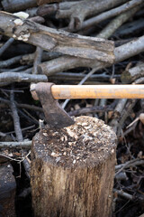 Lumberjack axe resting on chopping block with pile of firewood in background
