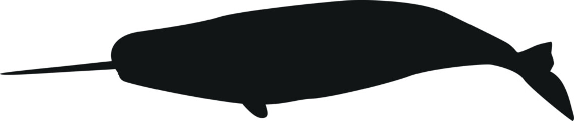 Black narwhal arctic underwater animal vector illustration © Pavlo Syvak