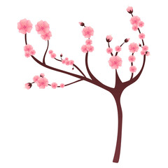 Cherry blossom tree branch isolated on white. Blooming sakura cartoon illustration.