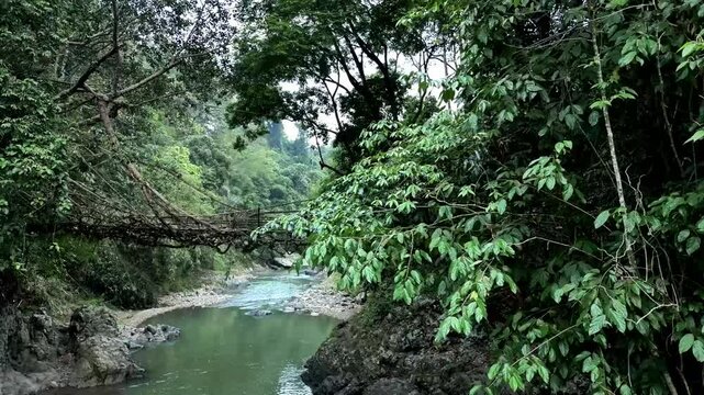 The root bridge as a symbol of harmony between nature and humans, only uses natural materials such as roots and bamboo. Made by the Baduy Tribe since decades ago. Humans protect and nature gives.