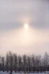 Real winter landscape. The sun is shining behind the clouds.