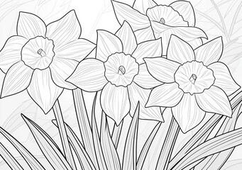 Fototapeta premium daffodil flower coloring.