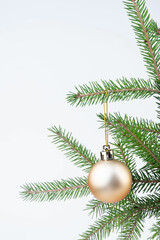 Single gold Christmas glass ball hanging from a pinay brunch, isolated on the white.