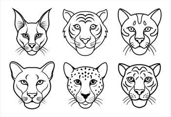 A set of six big cat face vector line art designs. Simple collection. Isolated bundle on white background.