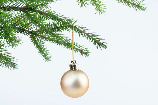 Single gold Christmas glass ball hanging from a pinay brunch, isolated on the white.