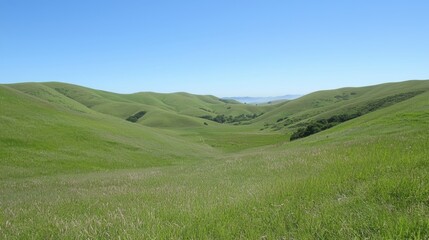 Naklejka premium Lush green fields and rolling hills under a clear blue sky create a peaceful landscape.