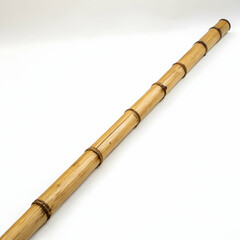 Fresh bamboo stem with leaves