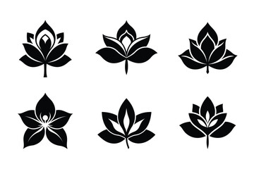 Mahogany (Swietenia mahagoni) silhouette vector illustration