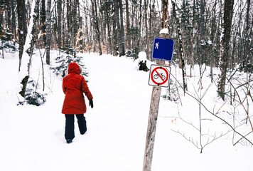 promenade dans un bois en hiver	