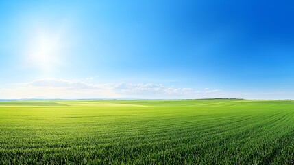 Naklejka premium Bright Sunny Day Over Vast Green Field
