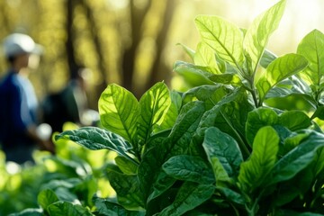 Obraz premium Sunlight shines through vibrant green leaves in a garden while two individuals engage in outdoor activities amid the greenery on a beautiful day. Generative AI