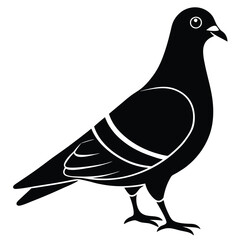 Pigeon vector shilhouette bundle. Pigeon Silhouette. 