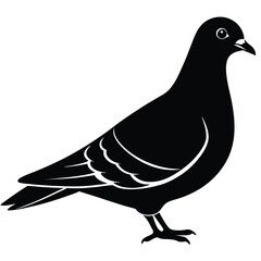 Pigeon vector shilhouette bundle. Pigeon Silhouette. 
