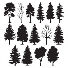 Fototapeta premium set of black vector various birch tree silhouettes