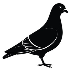 Pigeon vector shilhouette bundle. Pigeon Silhouette. 