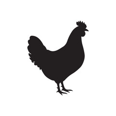 
Black Hen silhouette vector illustration on white background