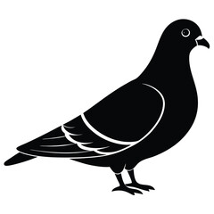 Pigeon vector shilhouette bundle. Pigeon Silhouette. 