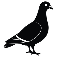 Pigeon vector shilhouette bundle. Pigeon Silhouette. 