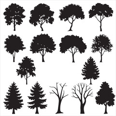 set of black vector various birch tree silhouettes