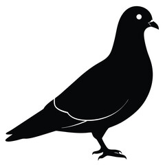 Pigeon vector shilhouette bundle. Pigeon Silhouette. 