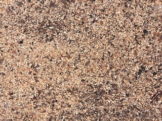 texture of wood pulp