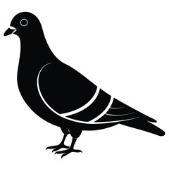 Pigeon vector shilhouette bundle. Pigeon Silhouette. 